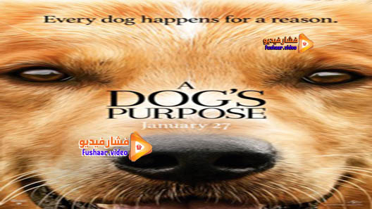مشاهدة فيلم A Dog’s Purpose 2017 مترجم