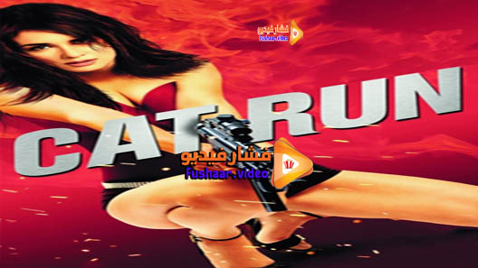 مشاهدة فيلم Cat Run 2011 مترجم