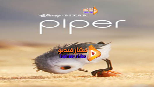 مشاهدة فيلم Piper 2016 مترجم