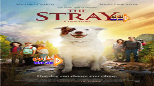 مشاهدة فيلم The Stray 2017 مترجم