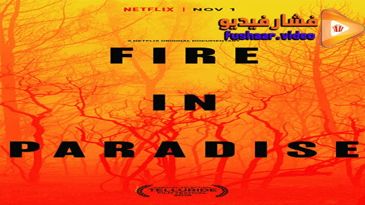 مشاهدة فيلم Fire in Paradise 2019 مترجم