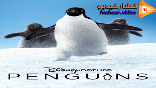 مشاهدة فيلم Penguins 2019 مترجم