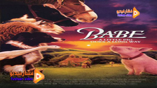مشاهدة فيلم Babe 1995 مترجم