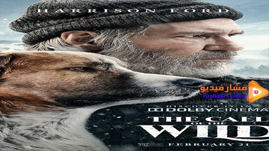 مشاهدة فيلم The Call 2020 مترجم