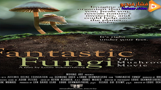 مشاهدة فيلم Fantastic Fungi 2019 مترجم