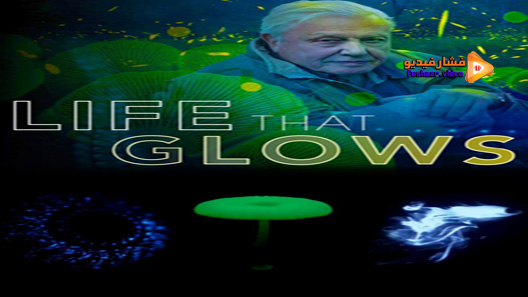 مشاهدة فيلم Attenborough’s Life That Glows 2016 مترجم