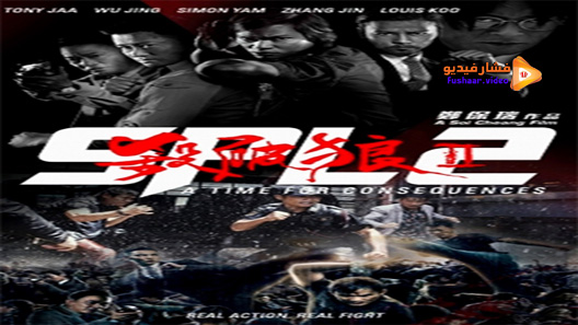 مشاهدة فيلم SPL 2 A Time For Consequences 2015 مترجم