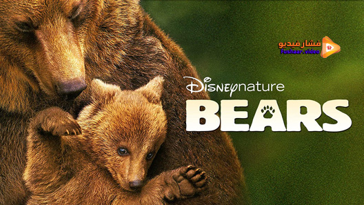 مشاهدة فيلم Bears 2014 مترجم