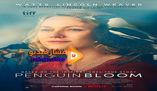 مشاهدة فيلم Penguin Bloom 2020 مترجم