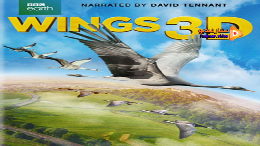 مشاهدة فيلم Wings 2014 مترجم