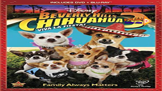 مشاهدة فيلم Beverly Hills Chihuahua 3: Viva La Fiesta! 2012 مترجم