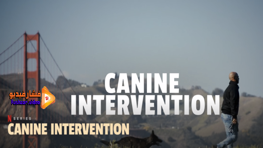 مشاهدة مسلسل Canine Intervention الموسم 1 الحلقة 1 مترجم