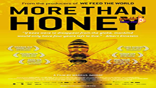 مشاهدة فيلم More Than Honey 2012 مترجم