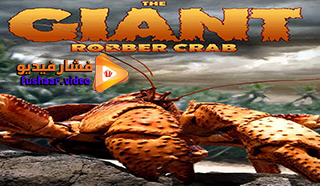 مشاهدة فيلم The Giant Robber Crab 2019 مترجم