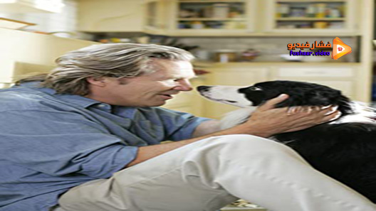مشاهدة فيلم A Dog Year 2009 مترجم
