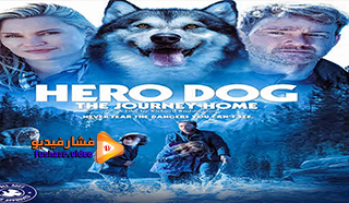 مشاهدة فيلم Hero Dog: The Journey Home 2021 مترجم