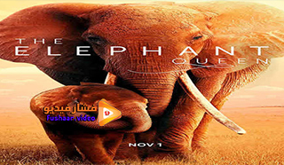 مشاهدة فيلم The Elephant Queen 2018 مترجم