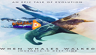مشاهدة فيلم When Whales Walked: Journeys in Deep Time 2019 مترجم