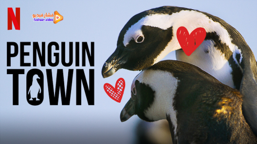 مشاهدة مسلسل Penguin Town الموسم 1 الحلقة 8 والاخيرة مترجم