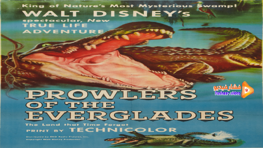 مشاهدة فيلم Prowlers of the Everglades 1953 مترجم