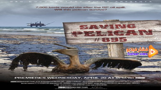 مشاهدة فيلم Saving Pelican 895 2011 مترجم