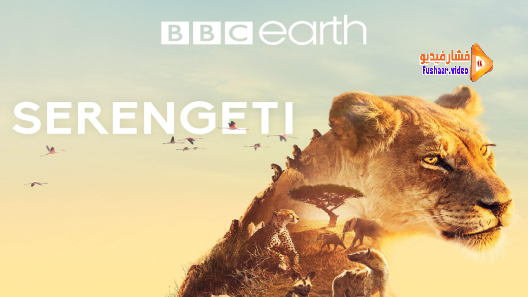 مشاهدة مسلسل Serengeti الموسم 2 الحلقة 1 مترجم