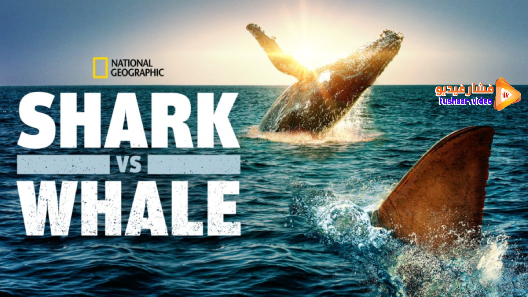 مشاهدة فيلم Shark vs. Whale 2020 مترجم