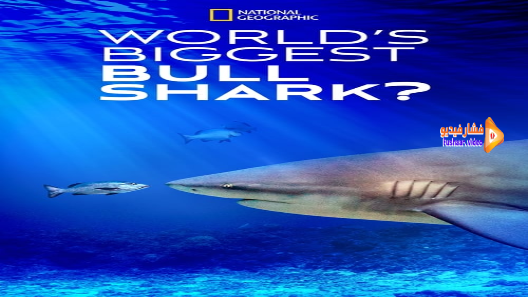 مشاهدة فيلم World’s Biggest Bull Shark 2021 مترجم