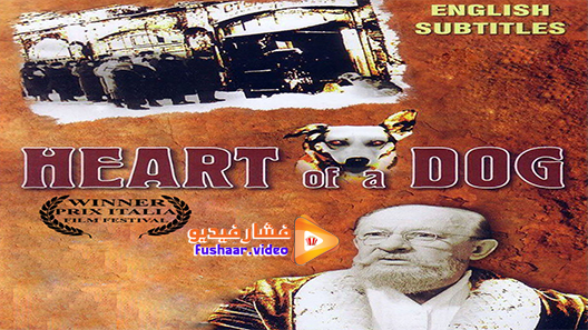 مشاهدة فيلم Heart of a Dog 1988 مترجم