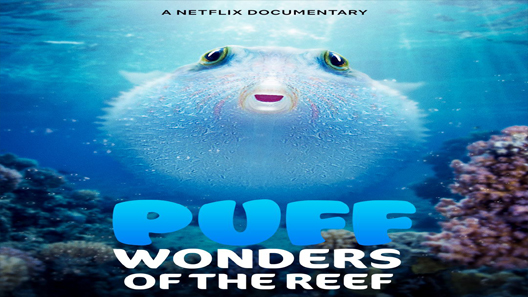 مشاهدة فيلم Puff: Wonders of the Reef 2021 مترجم