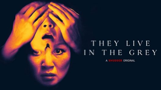 مشاهدة فيلم They Live in the Grey 2022 مترجم