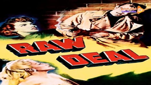 مشاهدة فيلم Raw Deal 1948 مترجم