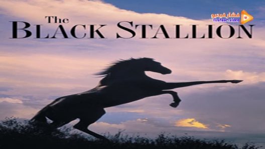 مشاهدة فيلم The Black Stallion 1979 مترجم