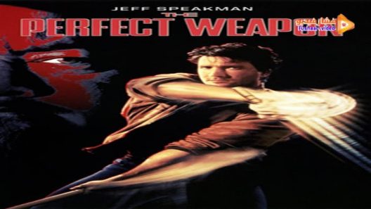 مشاهدة فيلم The Perfect Weapon 1991 مترجم