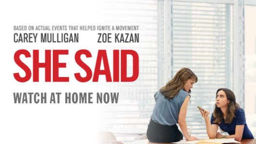 مشاهدة فيلم She Said 2022 مترجم