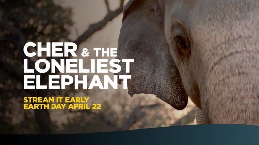 مشاهدة فيلم The Elephant Whisperers 2022 مترجم