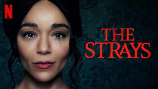 مشاهدة فيلم The Strays 2023 مترجم