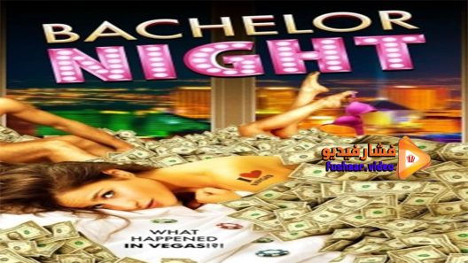 مشاهدة فيلم Bachelor Night 2014 مترجم