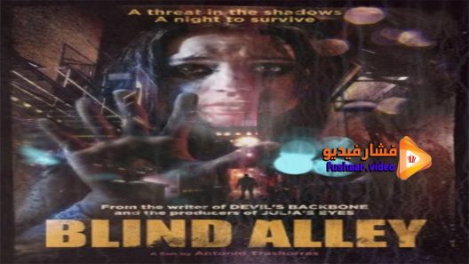 مشاهدة فيلم Blind Alley 2011 مترجم