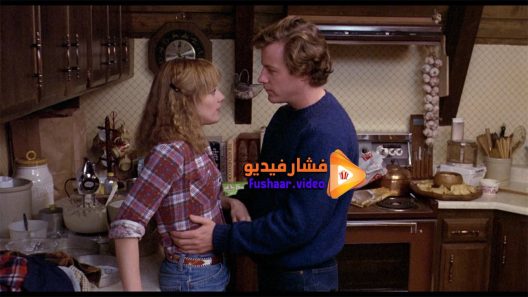 مشاهدة فيلم Chilly Scenes of Winter 1979 مترجم