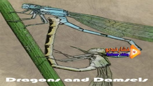 مشاهدة فيلم Dragons and Damsels 2020 مترجم