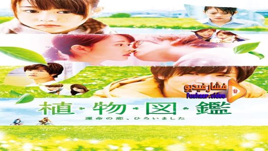 مشاهدة فيلم Evergreen Love 2016 مترجم