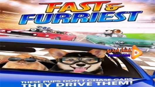 مشاهدة فيلم Fast and Furriest 2017 مترجم