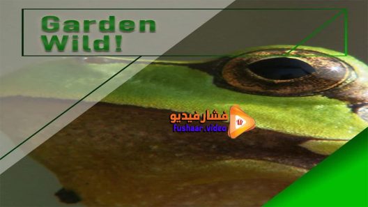 مشاهدة فيلم Garden Wild! 2015 مترجم