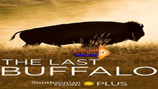 مشاهدة فيلم Khaidi No 150 2017 مترجم