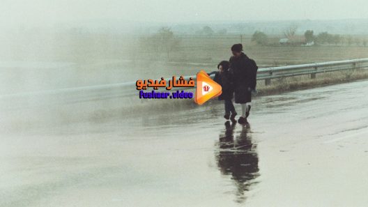 مشاهدة فيلم Landscape in the Mist 1988 مترجم