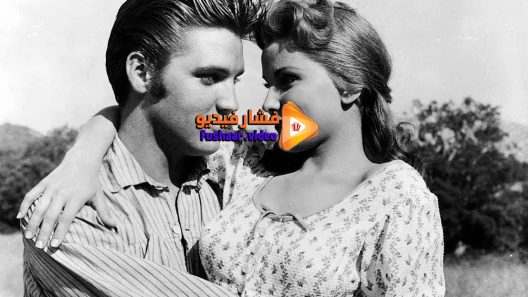 مشاهدة فيلم Love Me Tender 1956 مترجم