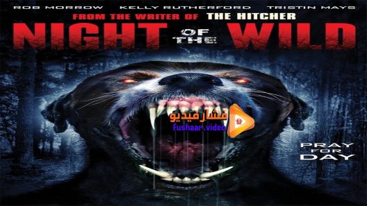 مشاهدة فيلم Night of the Wild 2015 مترجم