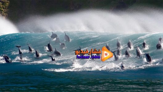 مشاهدة فيلم Oceans Our Blue Planet 2018 مترجم