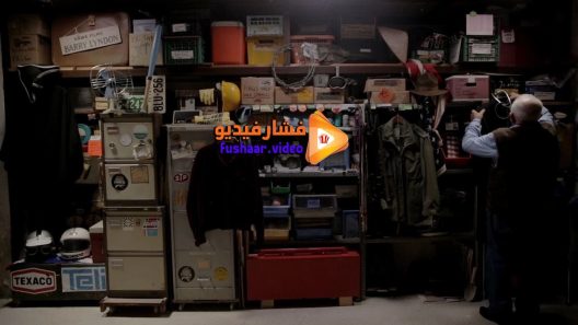 مشاهدة فيلم S Is for Stanley 2015 مترجم